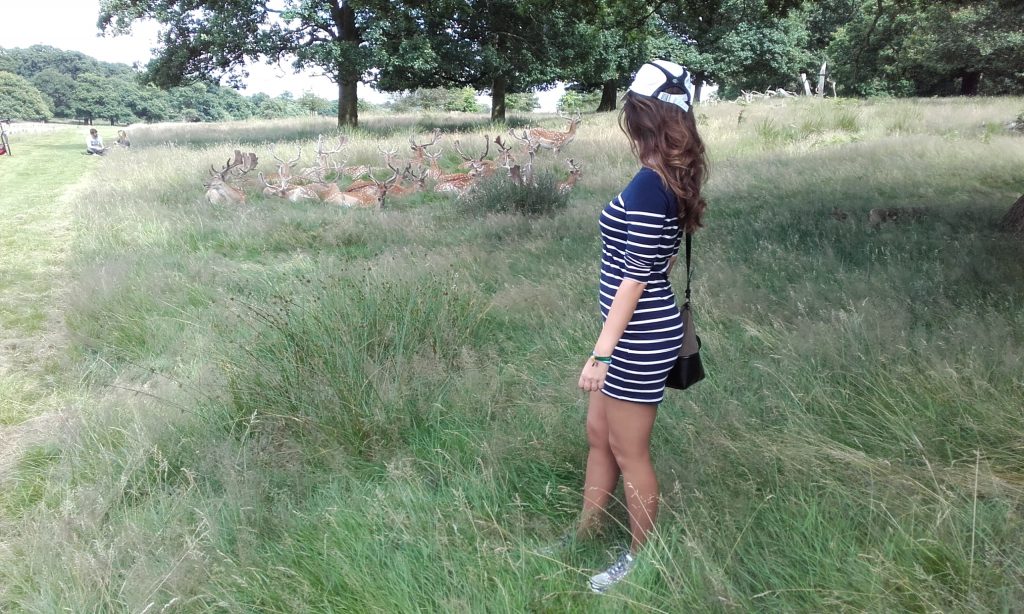 Richmond Park